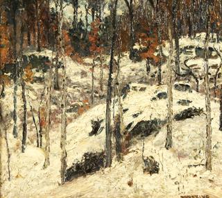 Snow Covered Forest