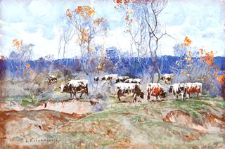 Cows