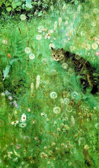 Cat in the Summer Meadow