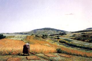 Wheat Harvesting