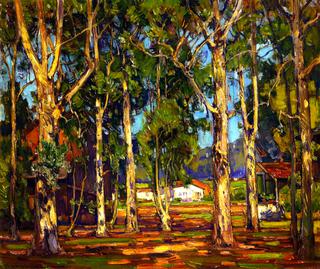 Eucalyptus, Laguna