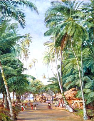 Roadside Scene under the Cocoanut Trees at Galle, Ceylon