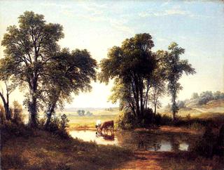 Cows in a New Hampshire Landscape