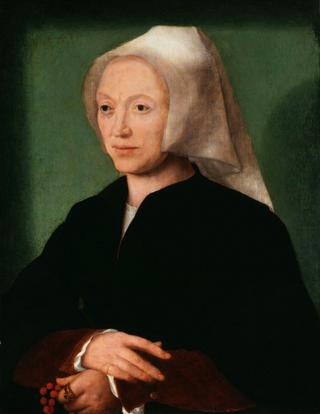 卡蒂恩·范·米塞尔蒂伦，艺术家的妻子