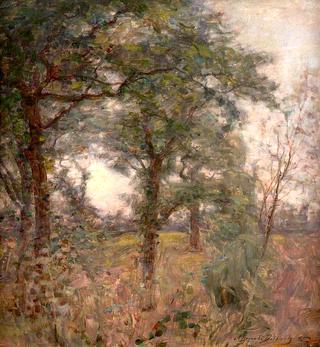 Woodland Scene