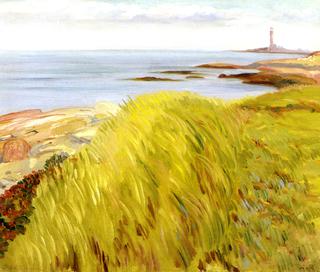 Grassy Dunes, Gloucester