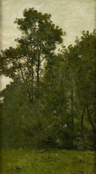 Les arbres