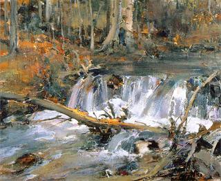 Beaver Dam