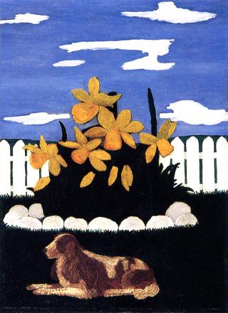 Giant Daffodils
