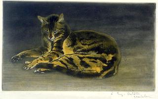 Cat on the Floor