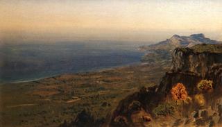 The Seashore