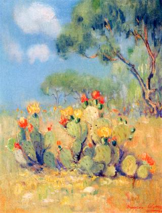 Prickly Pear