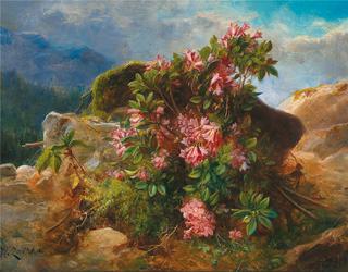 Alpine Flowers