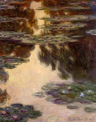 Water-Lilies