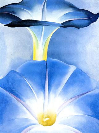 Blue Morning Glories, New Mexico