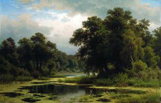 An Overgrown Pond