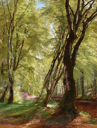 Spring day in the woods
