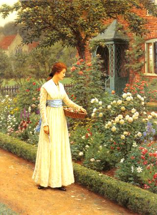 Summer Roses