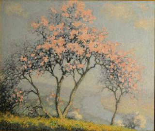 Apple Tree in Bloom