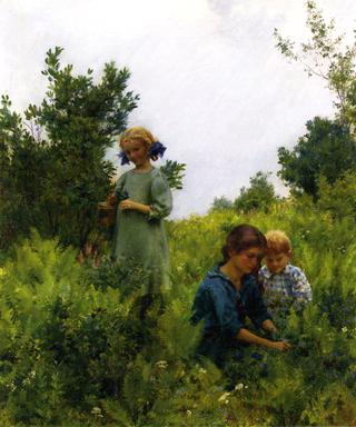 Blueberries and Ferns