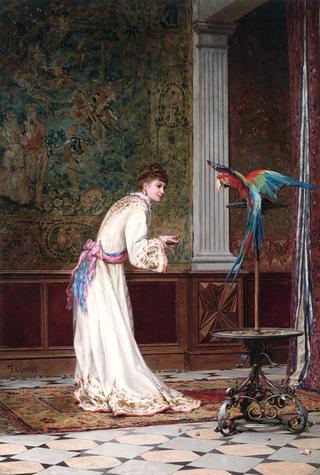 Feeding the Macaw