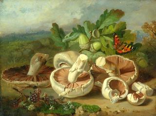 Still Life with Mushrooms