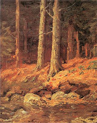 Brook in the Woods
