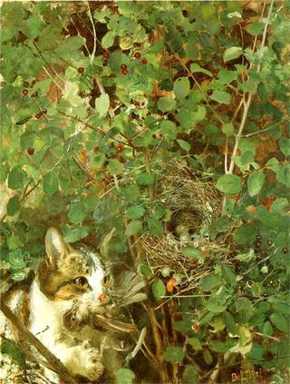 Cat Hunting Birds