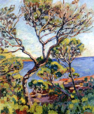 Landscape of the Midi