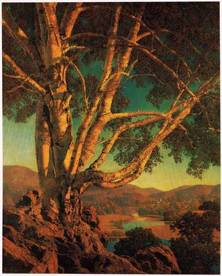 Old White Birch