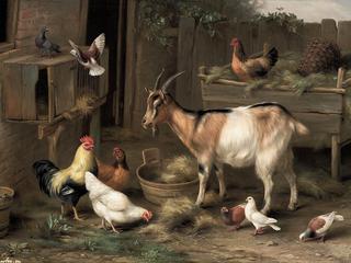 The Happy Farmyard