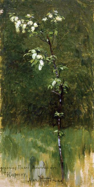 Tree in Blossom