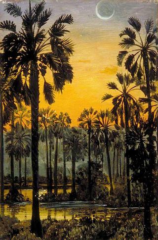 Palmyra Palms in Flood-Time