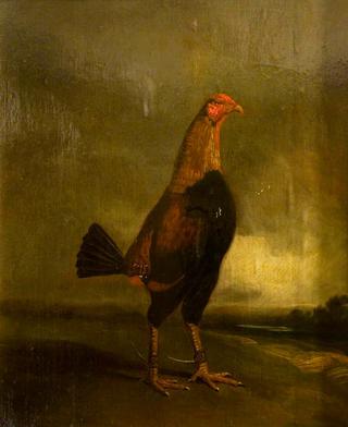 Fighting Cock in a Landscape