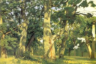 Oaks, evening (study for picture Oak-wood)
