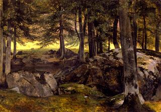 Beech Grove, Rocky Foreground