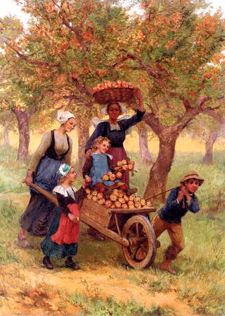 Harvesting Apples