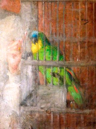 Study, the Parrot