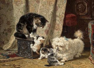 a terrier playing with kittens