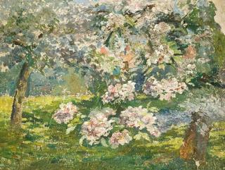 Apple Blossom in the Garden at Kingsley, Bushey