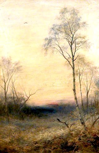 Winter Scene