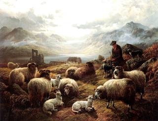 The Highland Shepherd