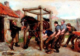 Shoeing the Bay Mare