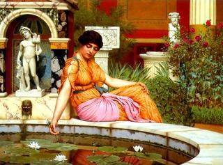 A Lily Pond