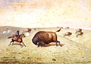 William Hind Meeting a Buffalo