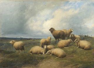 Landscape with Sheep
