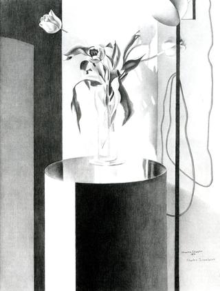 Tulips - Suspended Forms