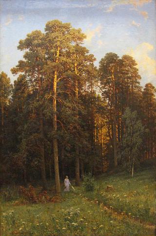 Woman Walking in a Pine Forest Clearing