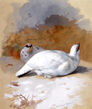 A Brace of Ptarmigan in the Snow