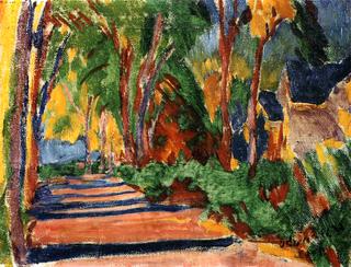 Wooded Road